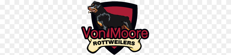 Von Moore Rottweilers, Adult, Male, Man, Person Free Png Download
