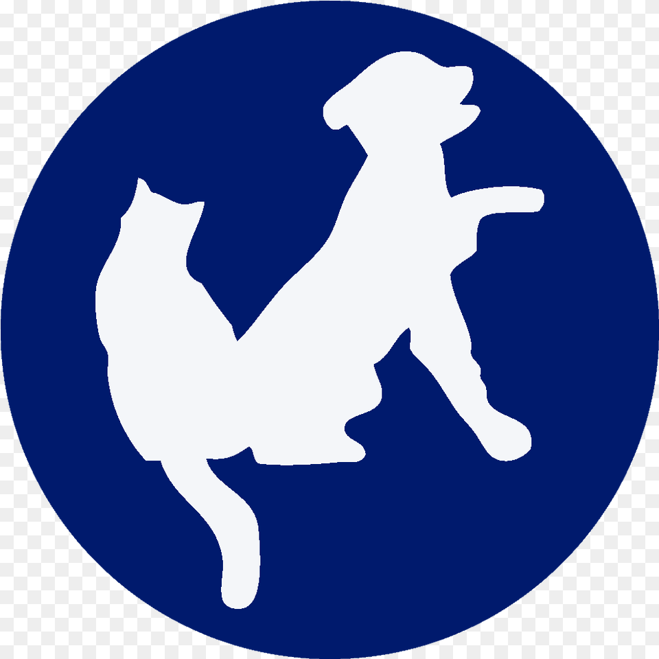 Voorhees Animal Orphanage Community Shelter Dog Png Image