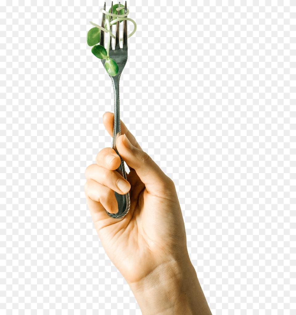 Vote With Fork Tree, Body Part, Cutlery, Finger, Hand Png