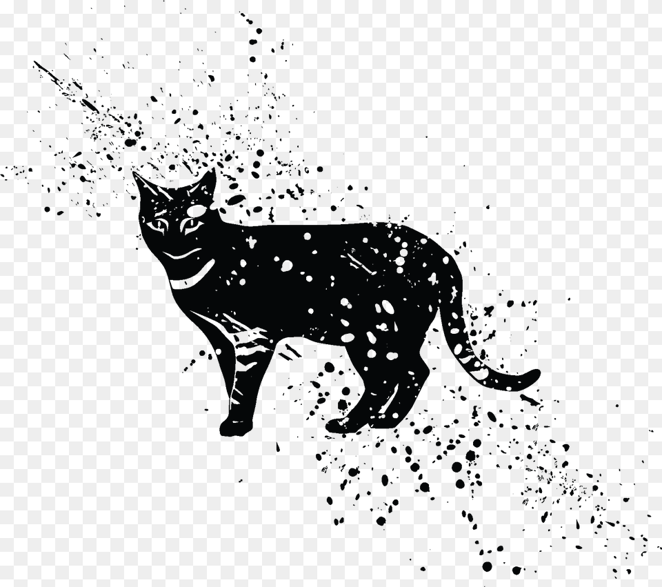 Vremennoe Tatu Chernij Kot Black, Animal, Mammal, Cat, Pet Free Transparent Png