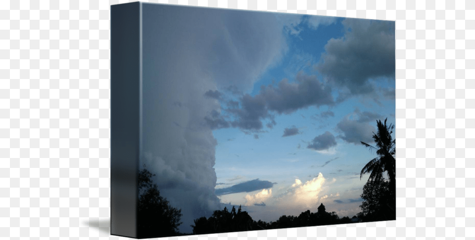 Vs Bright Cloud Tree, Sky, Weather, Outdoors, Nature Free Png Download