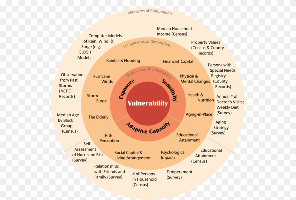 Vsd Showing Measures Components Elderly Vulnerability, Disk, Diagram Png Image