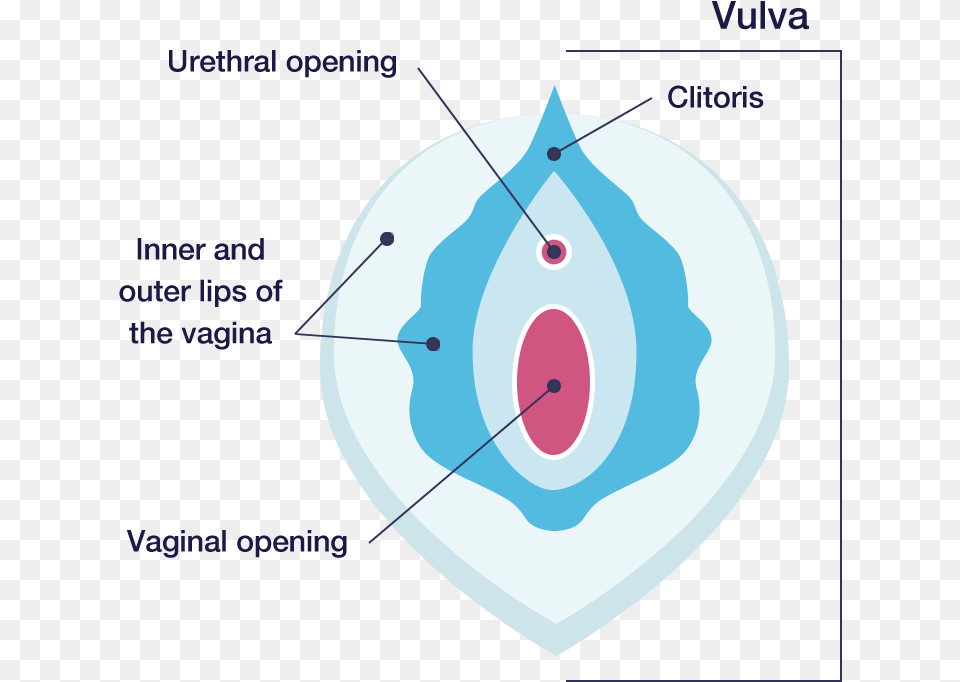 Vula Of The Vagina, Outdoors, Nature, Night Free Png