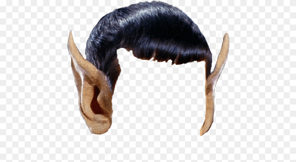 Vulcan Spock Hair Transparent Sticker Star Trek Ears, Animal, Mammal, Rat, Rodent Png