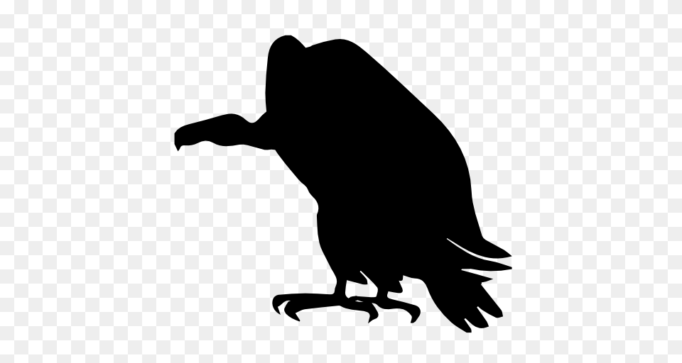 Vulture Bird Shape Vector Icons Designed, Animal, Silhouette, Condor, Fish Png Image