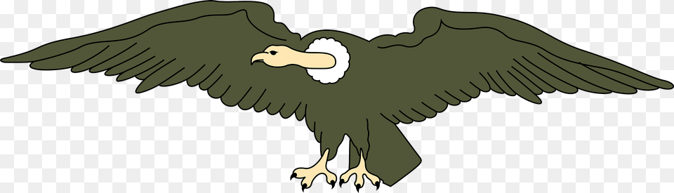 Vulture Clipart, Animal, Bird, Condor, Dinosaur Free Png
