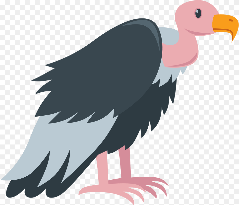 Vulture Clipart, Animal, Bird, Condor, Beak Free Png
