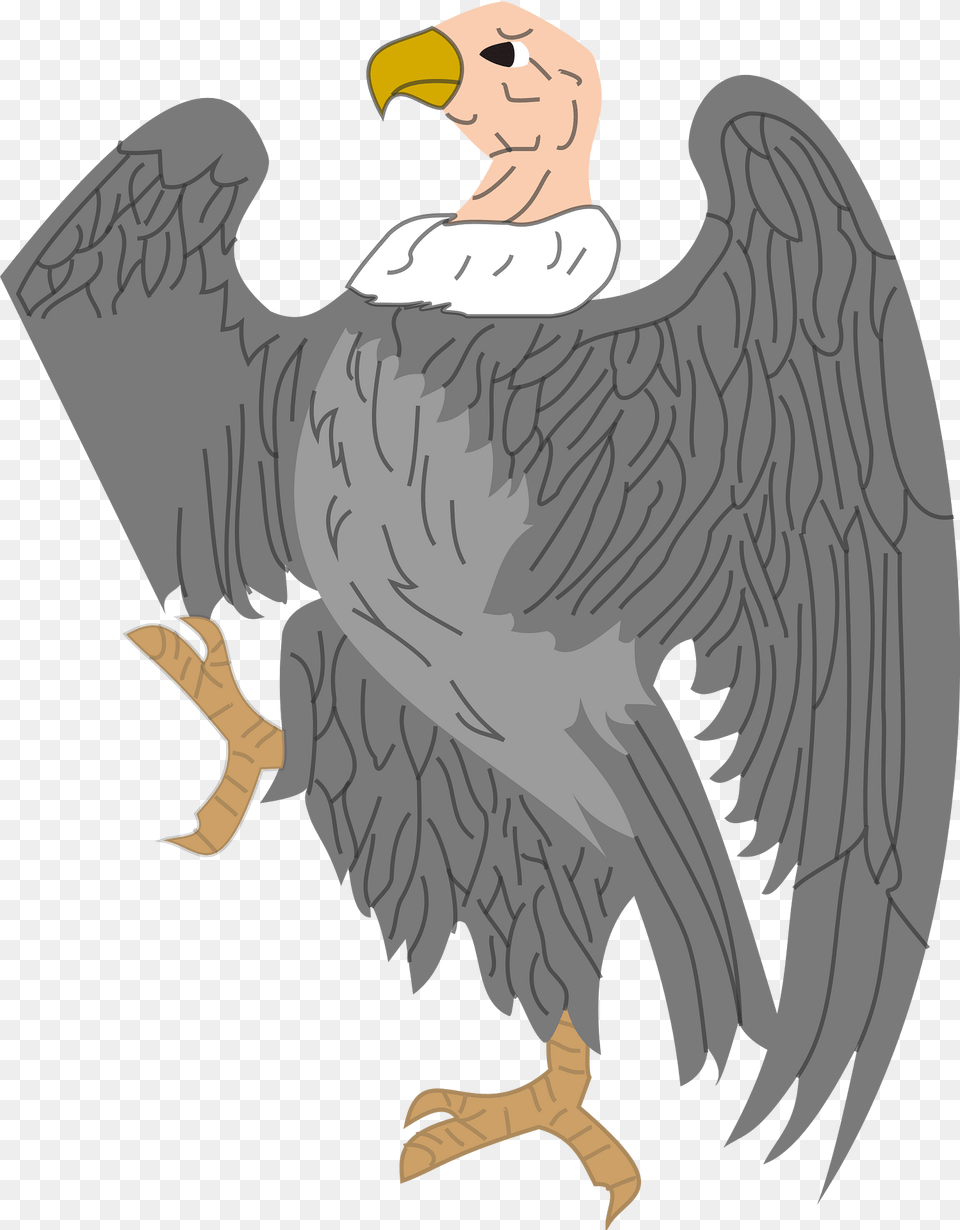Vulture Clipart, Animal, Beak, Bird, Condor Png Image