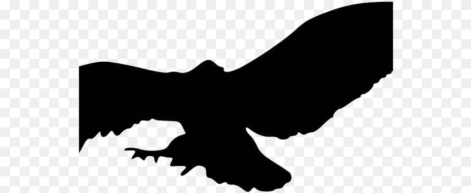 Vulture Clipart Flying Silhouette Of Owls Flying, Animal, Bird, Eagle Png Image