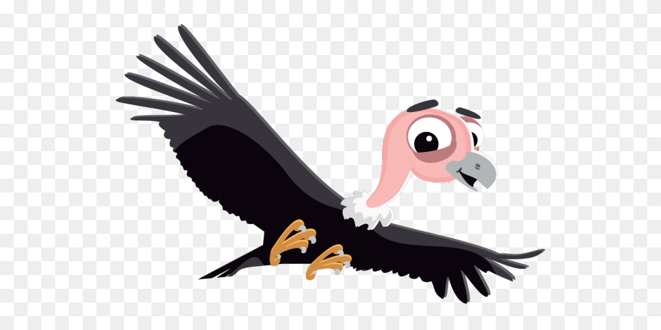 Vulture Clipart Scary, Animal, Bird, Condor Png