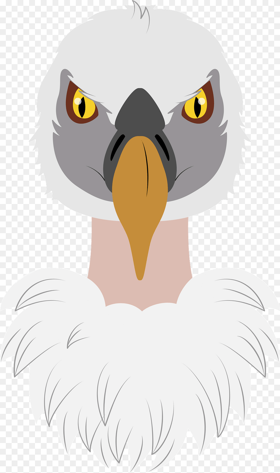 Vulture Face Clipart, Animal, Beak, Bird, Eagle Free Png Download