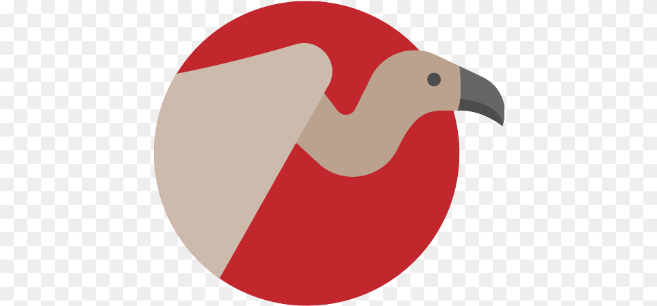 Vulture Icon Whitechapel Station, Animal, Beak, Bird Png