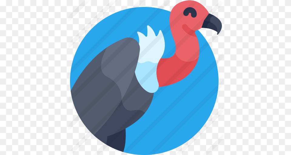 Vulture Icono Buitre, Animal, Beak, Bird, Condor Png