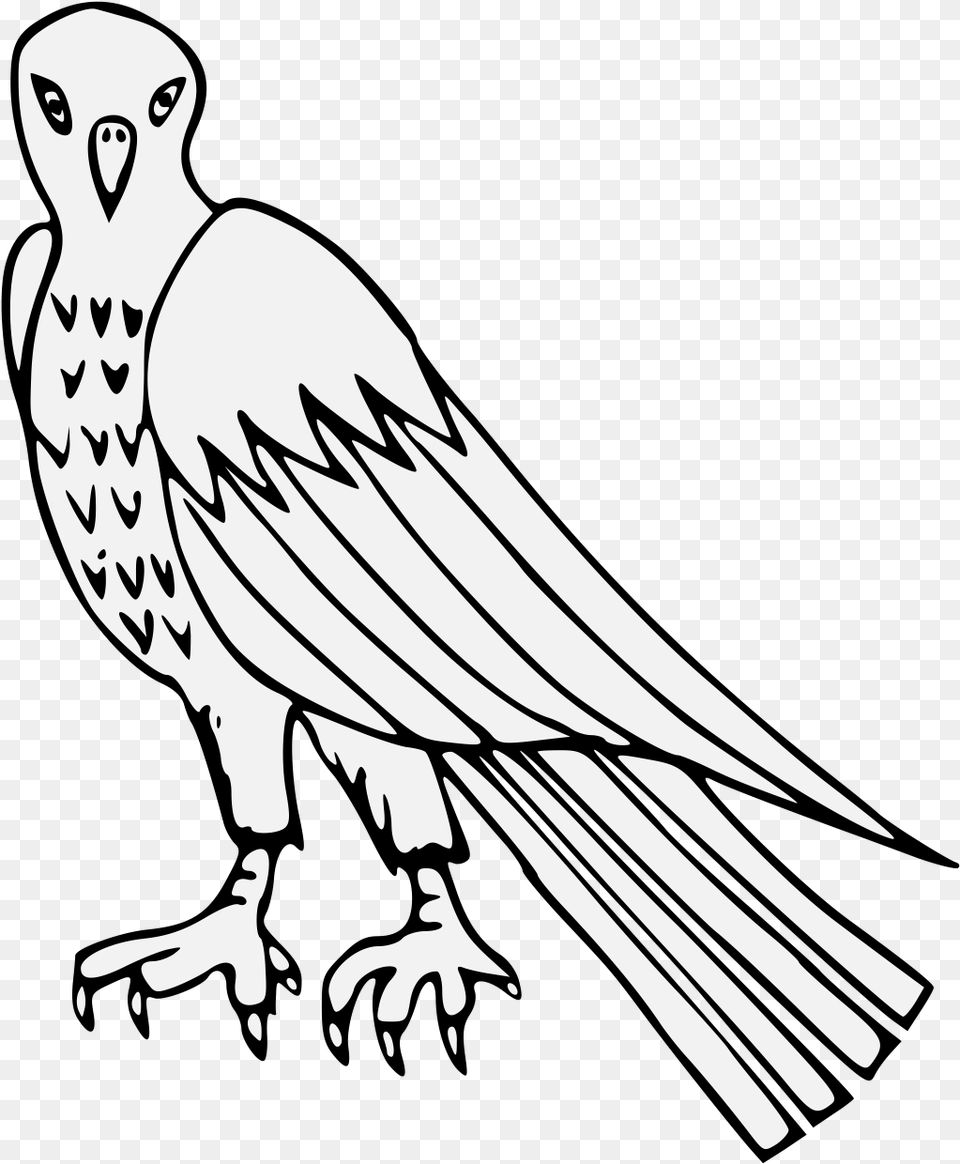 Vulture Image With No Background Clip Art, Animal, Bird, Stencil, Kite Bird Png