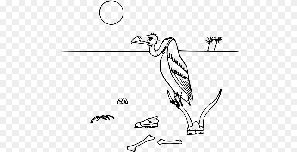 Vulture In Desert Vector Illustration, Gray Free Png Download