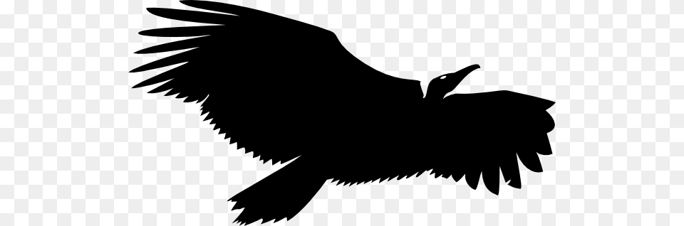 Vulture Life Logo, Animal, Bird, Silhouette, Blackbird Free Png