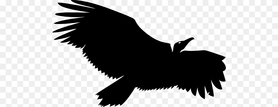 Vulture Life Logo Clip Art, Animal, Bird, Condor, Flying Free Transparent Png