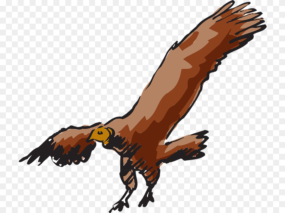 Vulture Scavanger Buzzard Bird Carnivore Carrion Buzzard Flying Clipart, Animal, Person Png Image