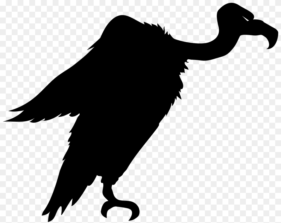 Vulture Silhouette, Animal, Beak, Bird, Bear Png