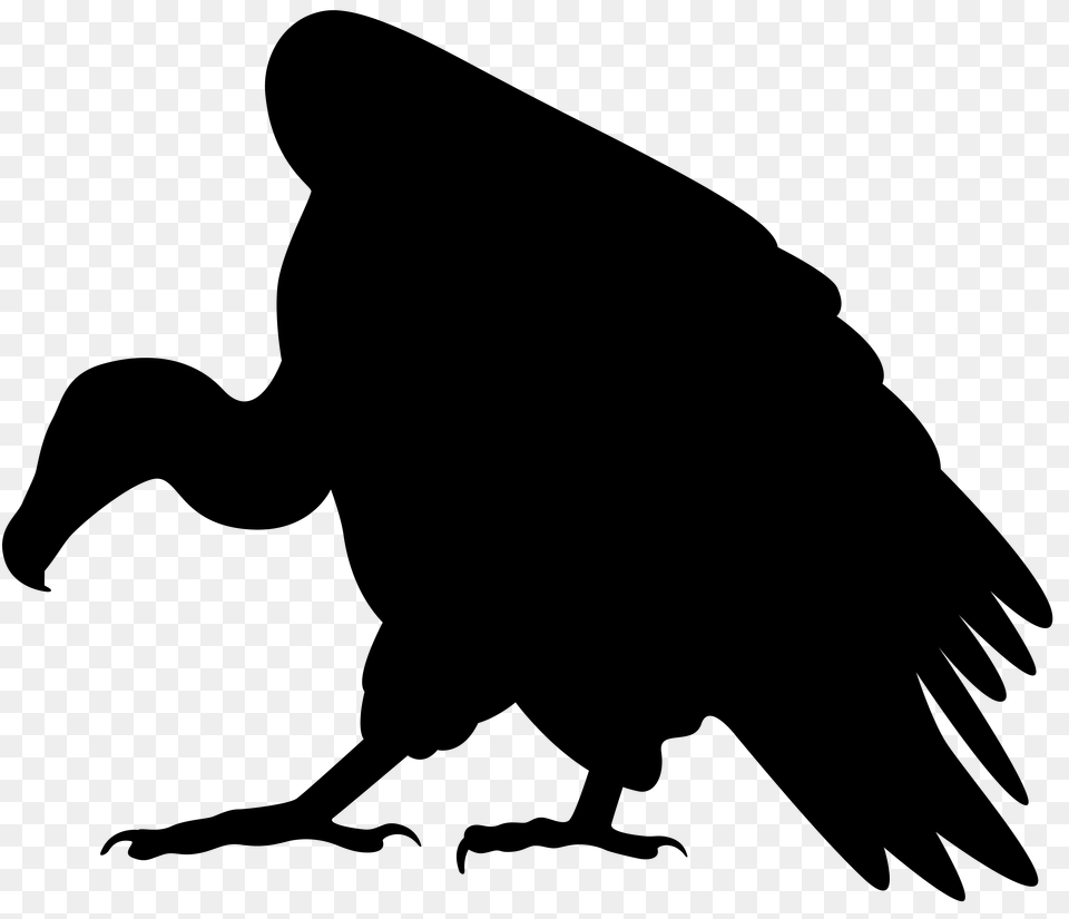 Vulture Silhouette Clip Art Free Transparent Png