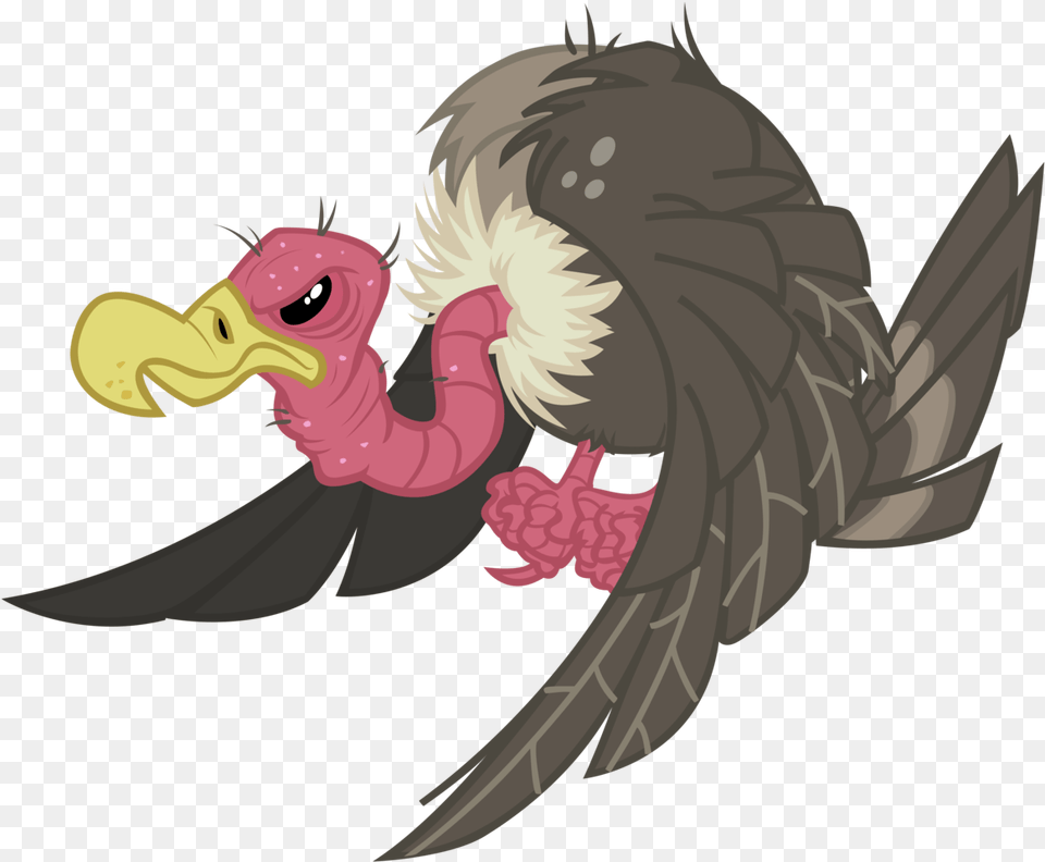 Vulture Vector Buzzard, Animal, Bird Png Image