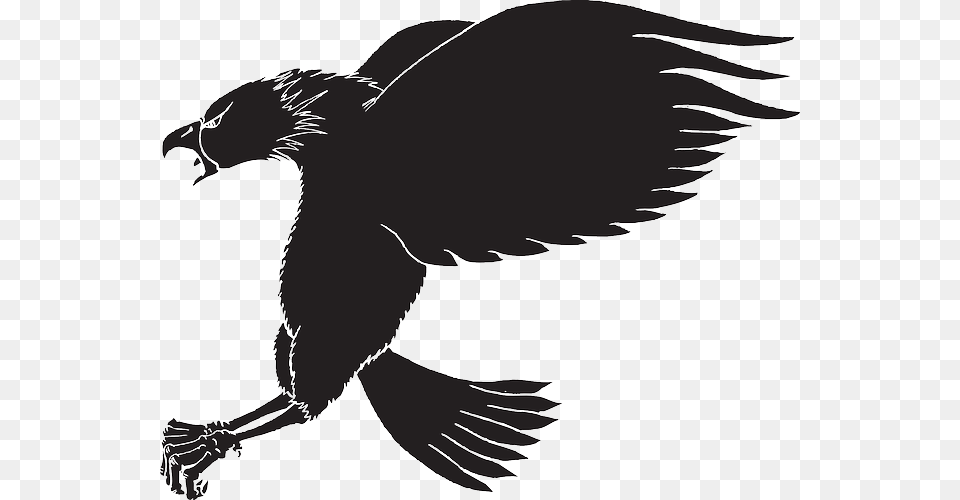 Vulture Vector Eagle Open Wing Screaming Eagle Silhouette, Animal, Bird, Blackbird, Stencil Free Png
