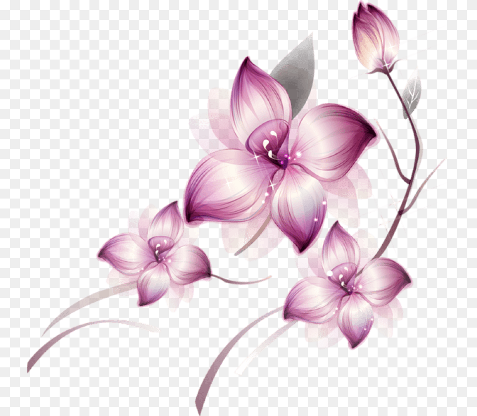 Vwn Orchid And Butterfly V94 Photos Beautiful Flower, Art, Floral Design, Graphics, Pattern Free Png