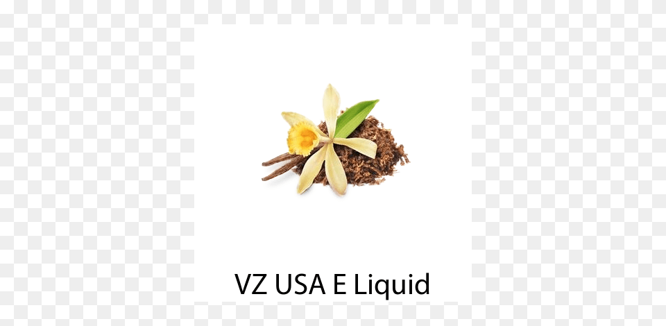 Vz Signature Tobacco Blend Vanilla Tobacco E Liquid Nysevz, Food, Flower, Plant, Spice Free Transparent Png