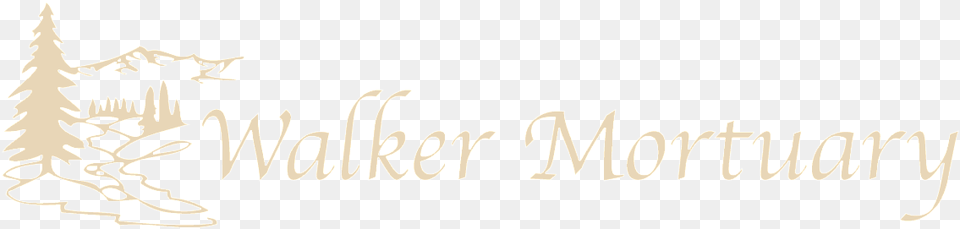 W 200 N Calligraphy, Text, Handwriting Free Png Download