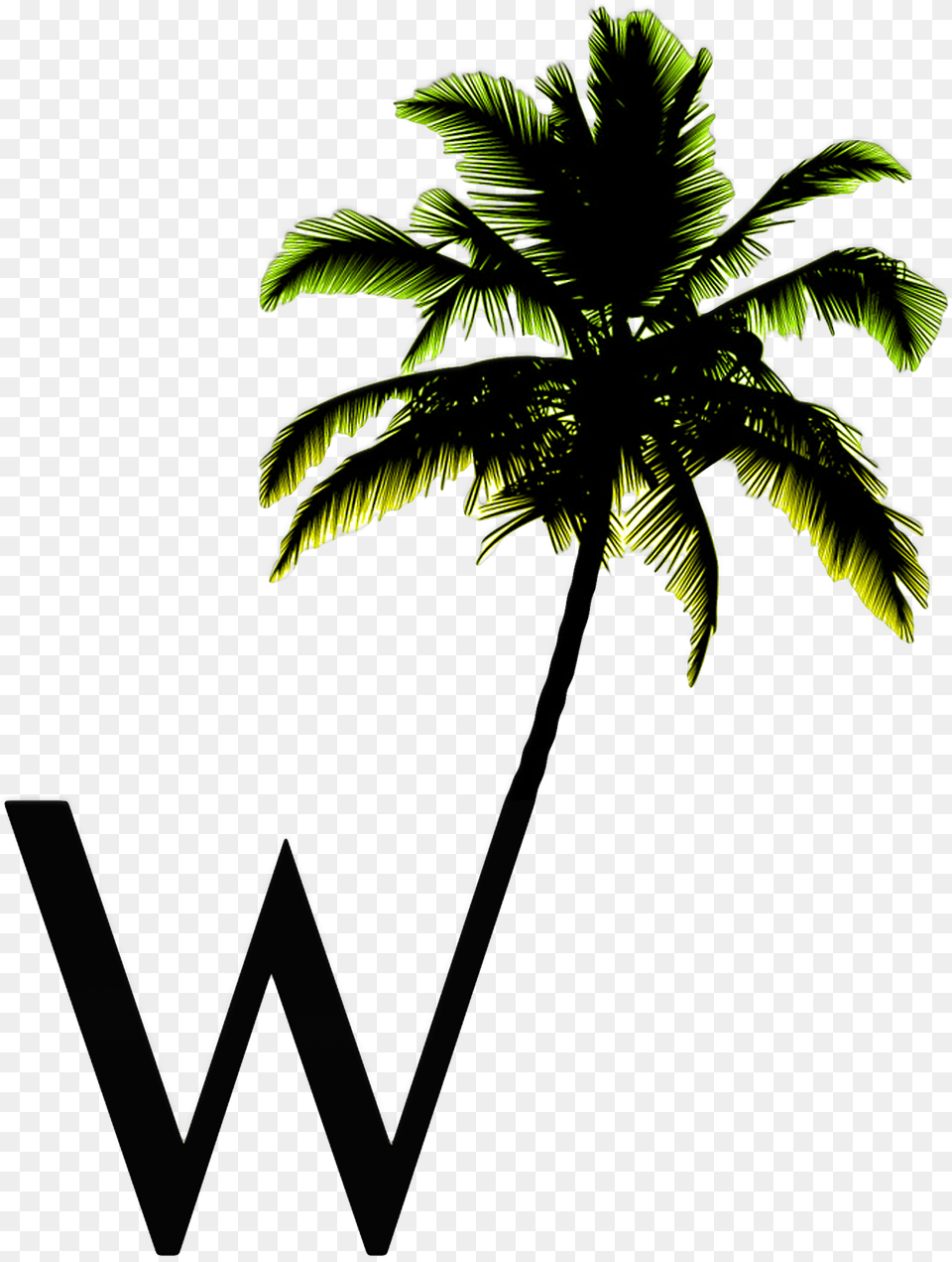 W Palm Only Logo No Background Palm Tree Silhouette, Leaf, Palm Tree, Plant, Vegetation Png