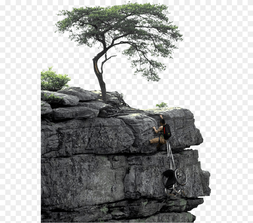 W That39s Going To Happen Yet If You Stand For A Reason Be Prepared, Tree, Rock, Plant, Outdoors Png Image