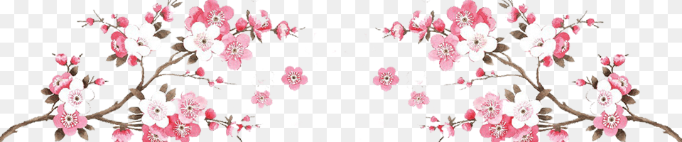 W960amph200 Cherry Blossoms Border, Flower, Plant, Cherry Blossom Free Transparent Png