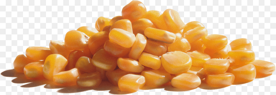 Wabash Valley Farms Popcorn Corn Kernels, Food, Produce, Grain, Plant Free Transparent Png