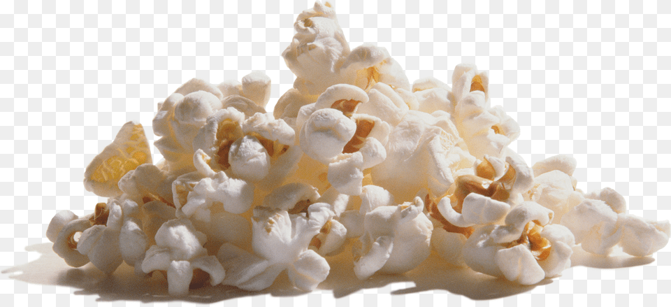 Wabash Valley Farms Popcorn Popcorn, Food, Snack, Flower, Plant Png