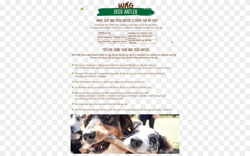 Wag Whole Antler Dog, Advertisement, Animal, Canine, Mammal Png Image