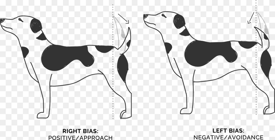 Wagging Tails Position Treeing Walker Coonhound, Stencil, Animal, Canine, Dog Free Transparent Png