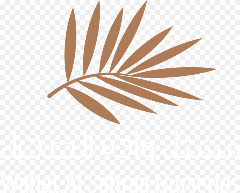Wahat Al Sahraa Official Logo Desert Group Qatar, Plant, Leaf, Herbal, Herbs Free Png Download