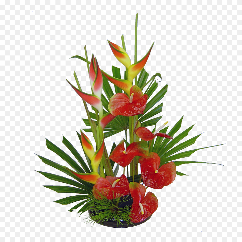 Waipio Tropical Hawaii Flowers Bouquet Hawaiian Flowers, Flower, Flower Arrangement, Flower Bouquet, Ikebana Png