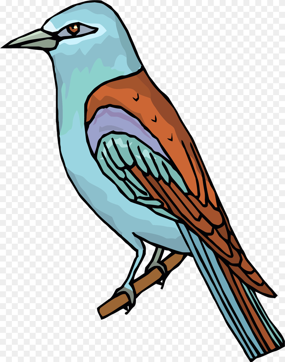 Waiting Bird Clipart U2013 Clipartlycom Bird Clip Art, Animal, Jay, Beak, Person Free Png Download