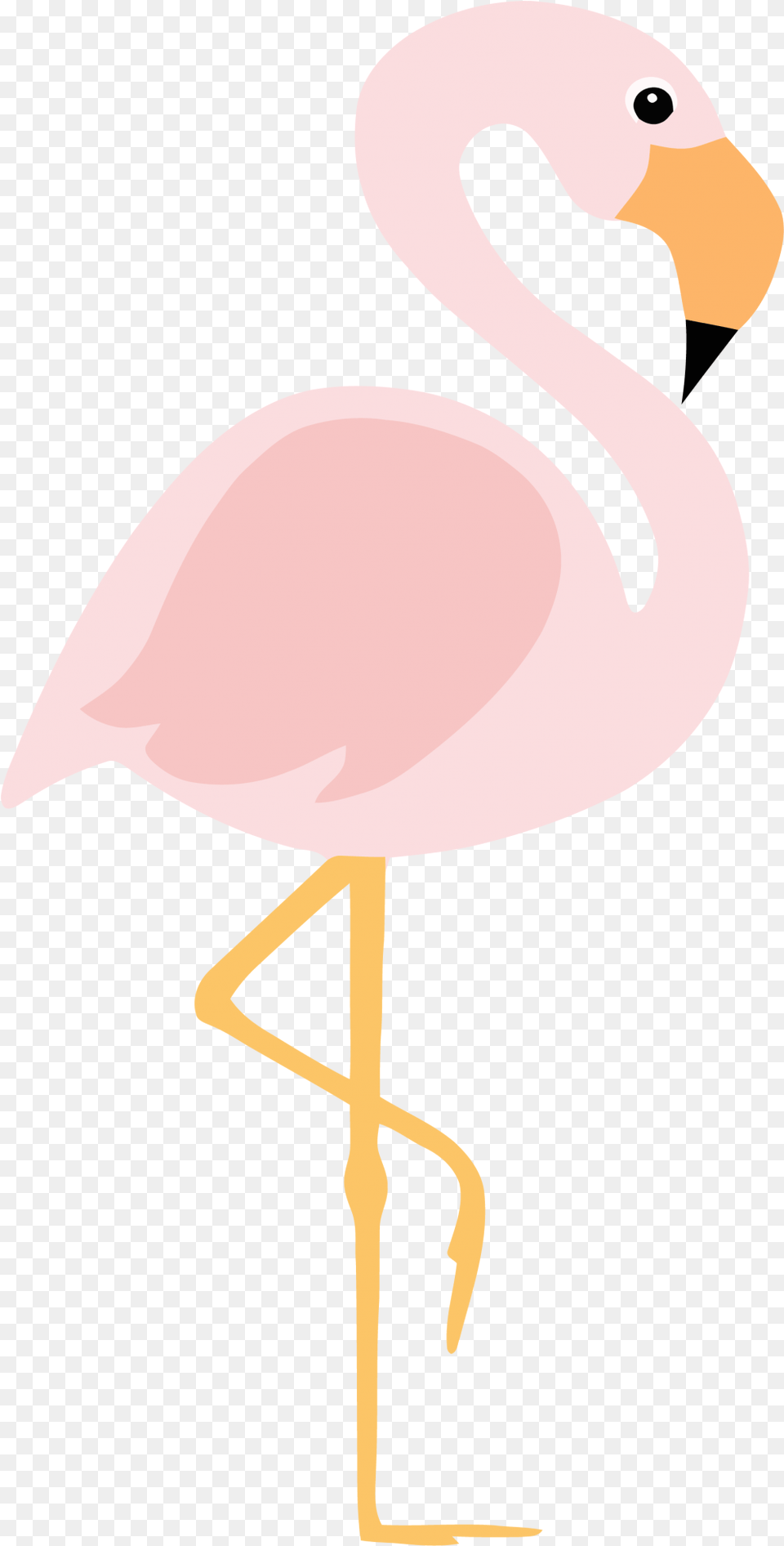 Waiting Flamingo Clipart Greater Flamingo, Animal, Bird, Cross, Symbol Free Png