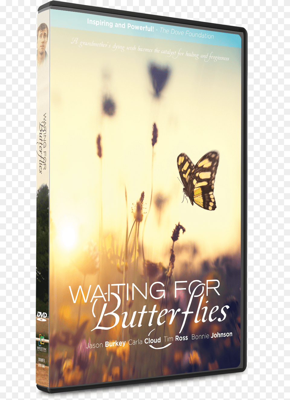 Waiting For Butterflies Two Steps From Hope Dvd, Person, Animal, Insect, Invertebrate Free Png