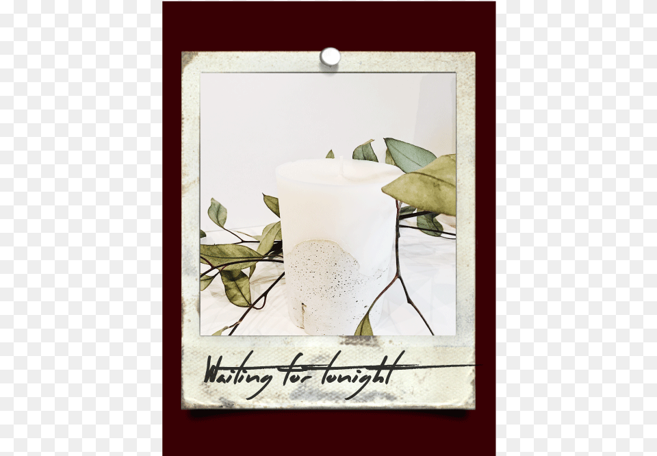 Waiting For Tonight, Text, Candle, Leaf, Plant Free Png Download