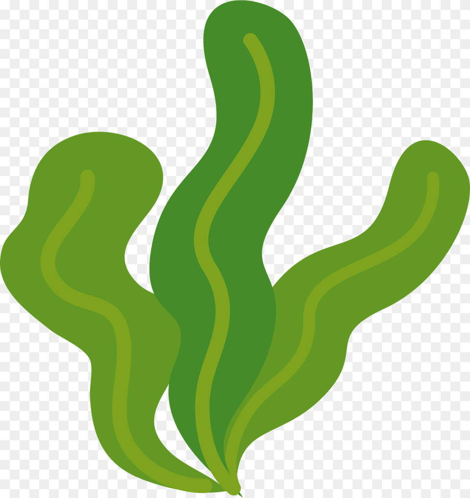 Wakame Seaweed Clipart, Smoke Pipe, Green Free Transparent Png