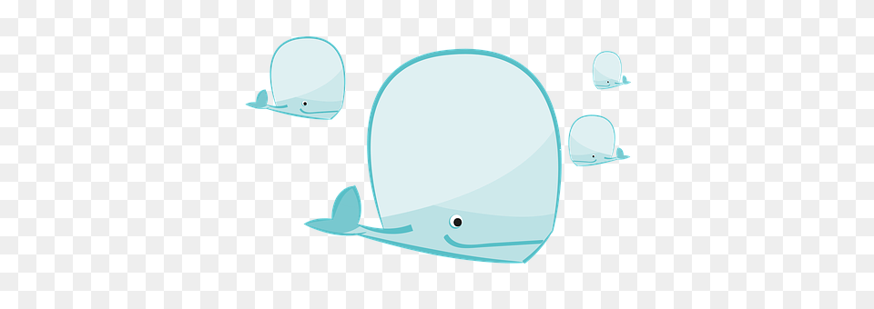 Wal Animal, Beluga Whale, Mammal, Sea Life Png Image
