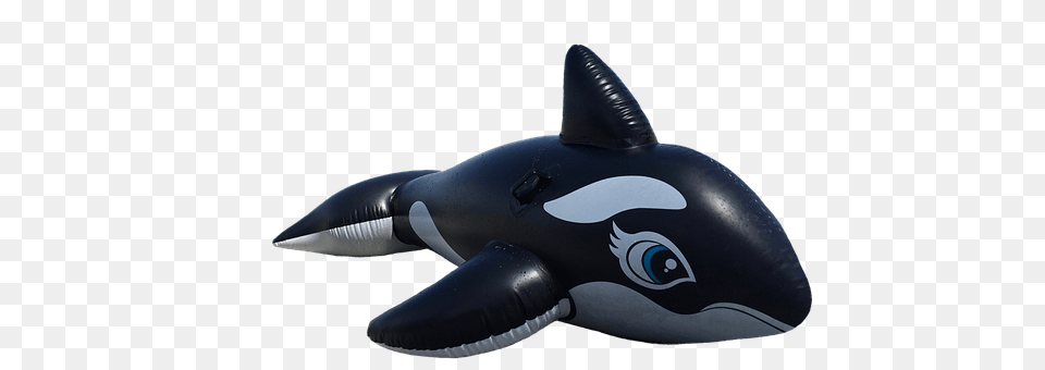 Wal Inflatable, Animal, Mammal, Sea Life Free Transparent Png