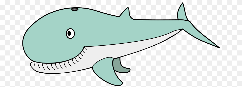 Wal Farbe, Animal, Sea Life, Fish, Shark Free Transparent Png