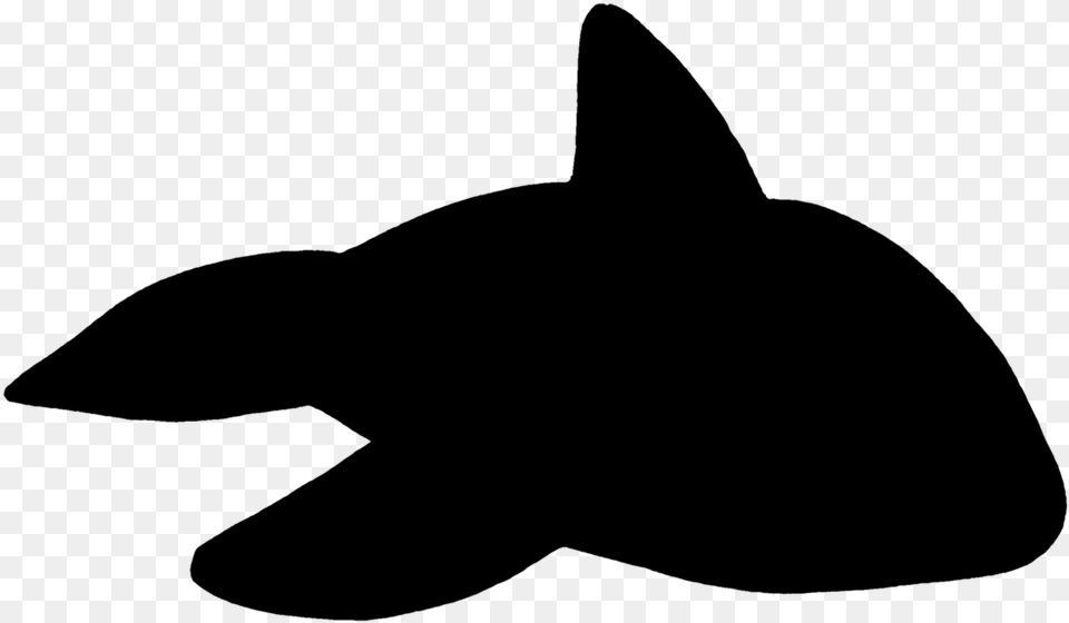 Wal Killer Orca Photo Killer Whale, Gray Free Png Download