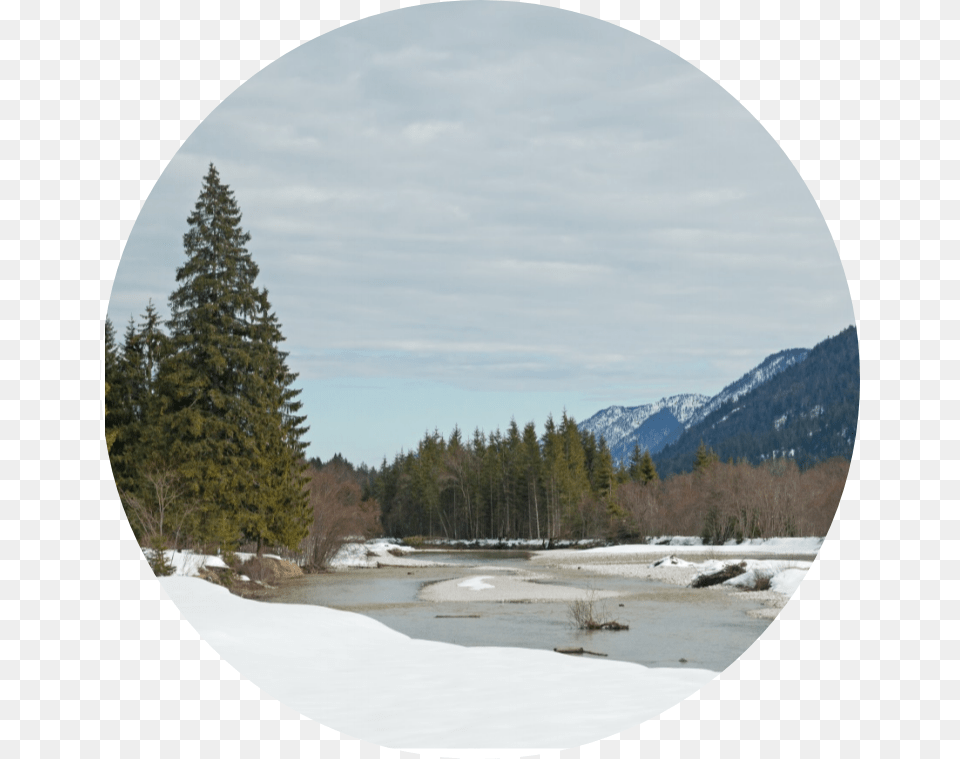 Walchensee Thumbnail Snow, Conifer, Fir, Photography, Plant Free Transparent Png