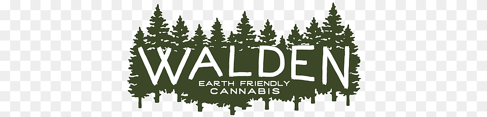 Walden Cannabis Aleister Black Wallpaper Pc, Green, Plant, Tree, Pine Free Png Download