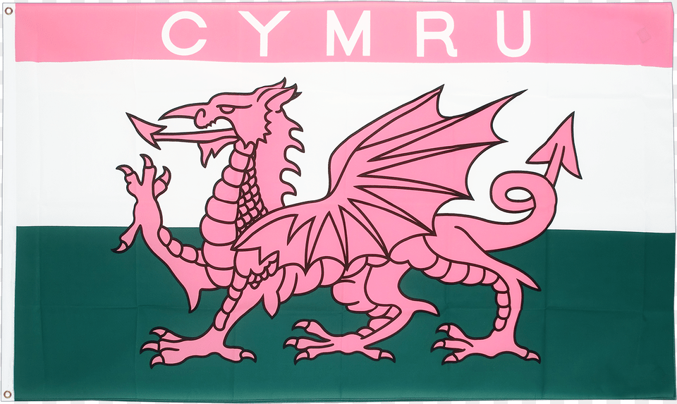 Wales Cymru Pink, Dragon, Animal, Dinosaur, Reptile Free Transparent Png